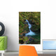 Waterfall in the Quinault State Park, Olympic Peninsula, Washington, USA Wall Mural