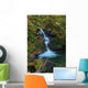 Waterfall in the Quinault State Park, Olympic Peninsula, Washington, USA Wall Mural