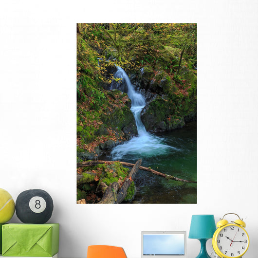 Waterfall in the Quinault State Park, Olympic Peninsula, Washington, USA Wall Mural