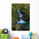 Waterfall in the Quinault State Park, Olympic Peninsula, Washington, USA Wall Mural