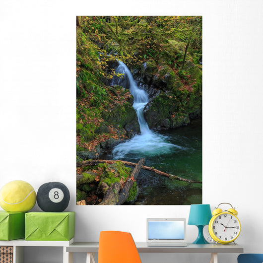 Waterfall in the Quinault State Park, Olympic Peninsula, Washington, USA Wall Mural