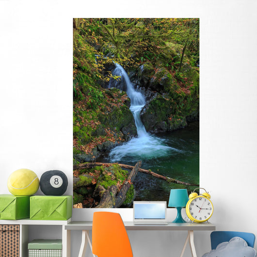 Waterfall in the Quinault State Park, Olympic Peninsula, Washington, USA Wall Mural