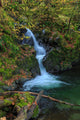 Waterfall in the Quinault State Park, Olympic Peninsula, Washington, USA Wall Mural