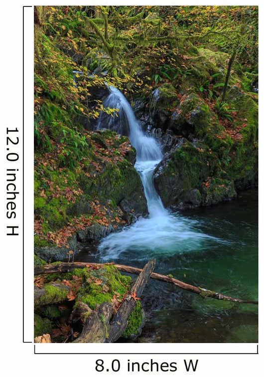 Waterfall in the Quinault State Park, Olympic Peninsula, Washington, USA Wall Mural