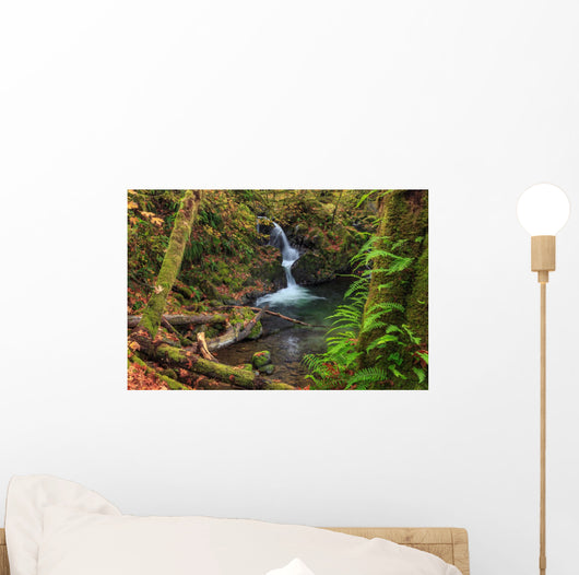 Waterfall in the Quinault State Park, Olympic Peninsula, Washington, USA Wall Mural