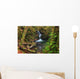Waterfall in the Quinault State Park, Olympic Peninsula, Washington, USA Wall Mural