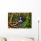 Waterfall in the Quinault State Park, Olympic Peninsula, Washington, USA Wall Mural