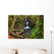Waterfall in the Quinault State Park, Olympic Peninsula, Washington, USA Wall Mural