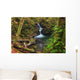 Waterfall in the Quinault State Park, Olympic Peninsula, Washington, USA Wall Mural