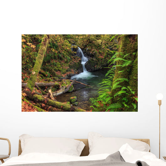 Waterfall in the Quinault State Park, Olympic Peninsula, Washington, USA Wall Mural