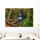 Waterfall in the Quinault State Park, Olympic Peninsula, Washington, USA Wall Mural