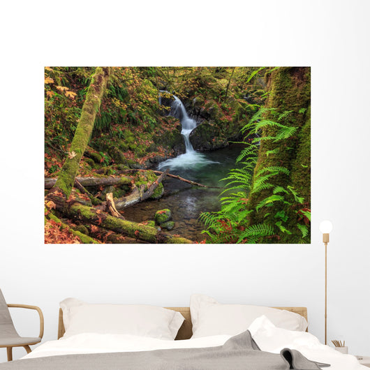 Waterfall in the Quinault State Park, Olympic Peninsula, Washington, USA Wall Mural