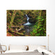 Waterfall in the Quinault State Park, Olympic Peninsula, Washington, USA Wall Mural