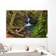Waterfall in the Quinault State Park, Olympic Peninsula, Washington, USA Wall Mural