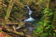 Waterfall in the Quinault State Park, Olympic Peninsula, Washington, USA Wall Mural