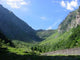 Pyrenees Wall Decal