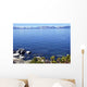 Blue Lake Wall Decal