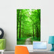Green Nature Path Forest Wall Decal