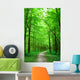 Green Nature Path Forest Wall Decal