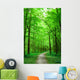 Green Nature Path Forest Wall Decal