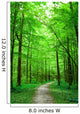 Green Nature Path Forest Wall Decal
