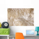 Sheep Skin Wall Decal