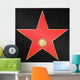Star Phonograph Record Vector Wall Decal