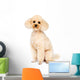 Apricot Small Poodle Sitting Wall Decal