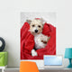 Noahs Bath Time Wall Decal