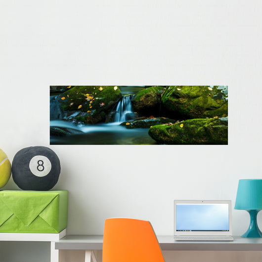 Smoky Mountain Stream with Wall Decal