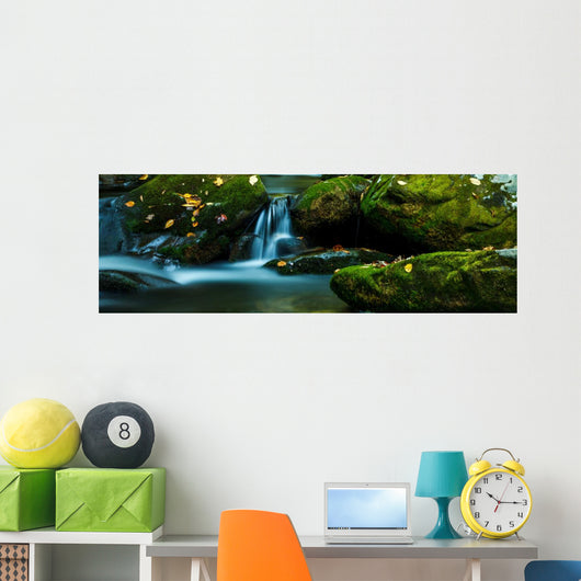 Smoky Mountain Stream with Wall Decal