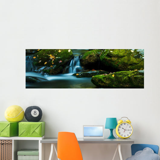 Smoky Mountain Stream with Wall Decal