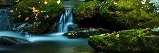 Smoky Mountain Stream with Wall Decal