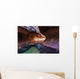Canyon in Zion Wall Mural