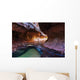 Canyon in Zion Wall Mural