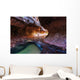 Canyon in Zion Wall Mural