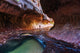 Canyon in Zion Wall Mural