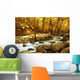 Autumn Forest with Mountain Wall Decal