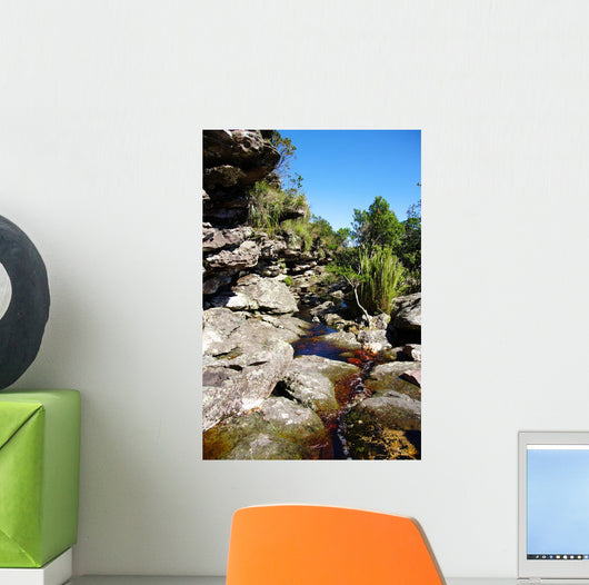Brook Rocks Chapada Diamantina Wall Decal