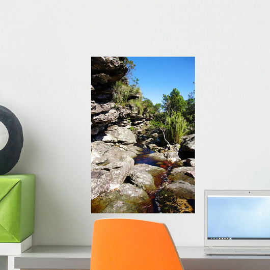 Brook Rocks Chapada Diamantina Wall Decal