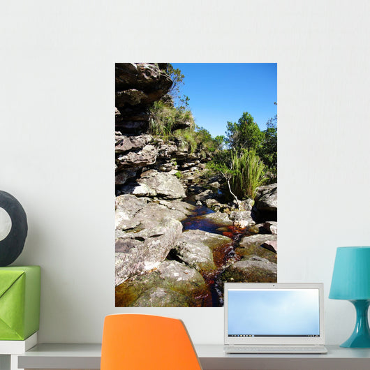 Brook Rocks Chapada Diamantina Wall Decal