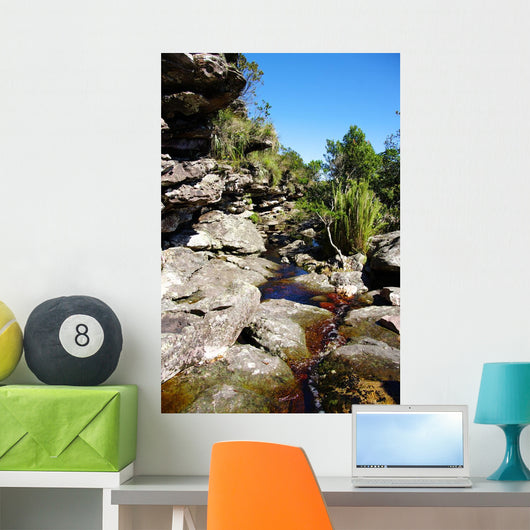 Brook Rocks Chapada Diamantina Wall Decal
