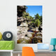Brook Rocks Chapada Diamantina Wall Decal
