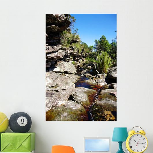 Brook Rocks Chapada Diamantina Wall Decal
