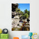 Brook Rocks Chapada Diamantina Wall Decal