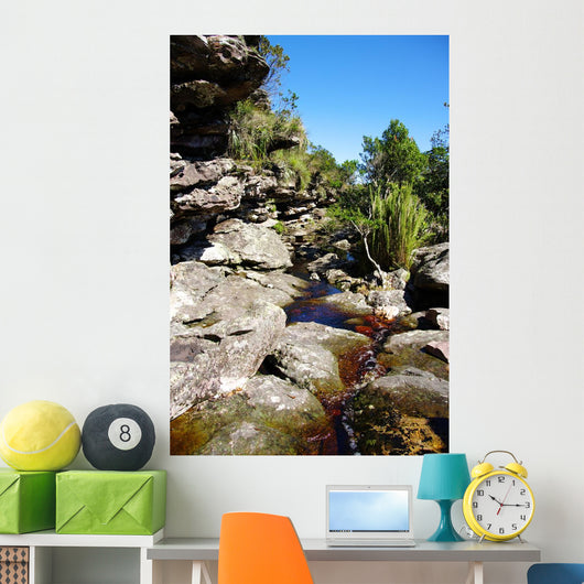 Brook Rocks Chapada Diamantina Wall Decal