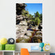 Brook Rocks Chapada Diamantina Wall Decal