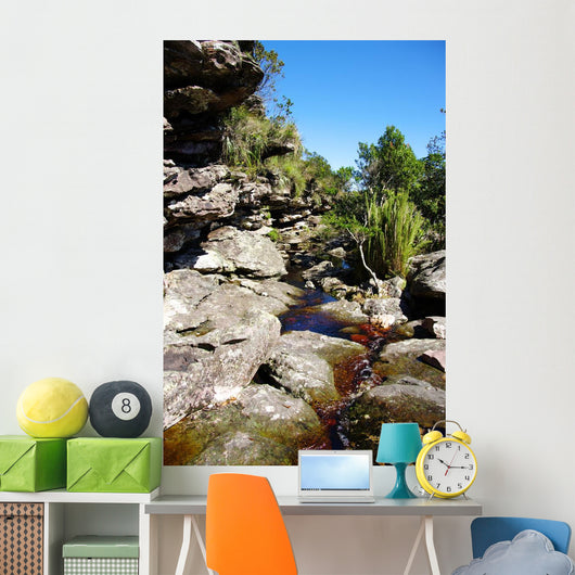 Brook Rocks Chapada Diamantina Wall Decal