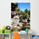 Brook Rocks Chapada Diamantina Wall Decal