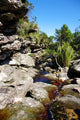Brook Rocks Chapada Diamantina Wall Decal